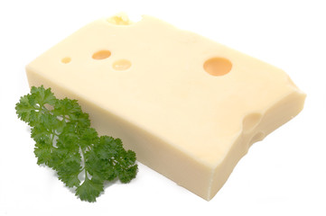 Ein Stück Hartkäse
