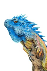 Bearded Dragon isolated on White