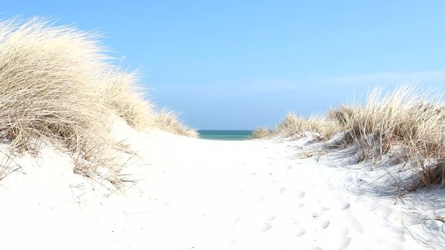 Baltic Sea - Dunes and Grass waving, Beach behind