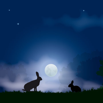 Faune - Lièvre et lapin au clair de lune