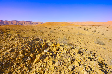 Israel Desert