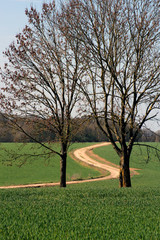 Obraz premium chemin