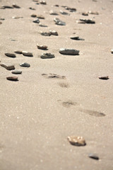 Footprints at the beach among the stones