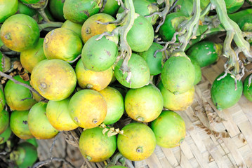 betel palm fruit