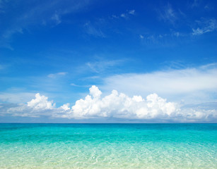beach and tropical sea