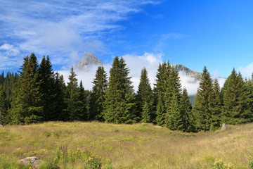 Fototapeta na wymiar Krajobraz Alpine - Alpine krajobraz