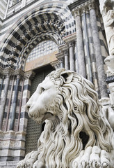 cattedrale di san lorenzo a genova