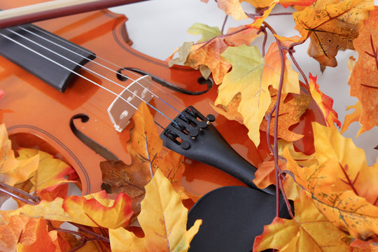 Teilausschnitt einer Violine im Herbst