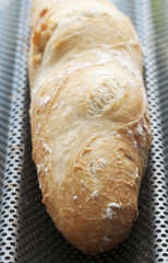 Fresh French Baguette