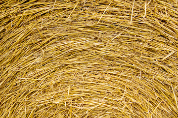 Strohballen Hintergrund Rund