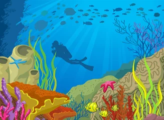 Gordijnen Cartoon gekleurd koraalrif en duiker © Natali Snailcat