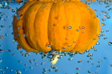 Pumpkin in a water