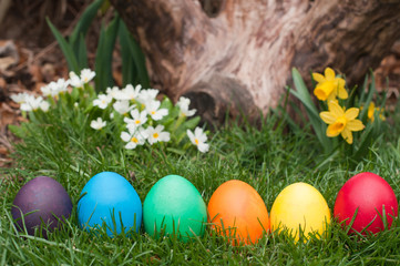 Easter eggs