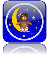 Teddy bear on the moon