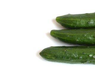 Japanese delicious cucumbers isolated on white background