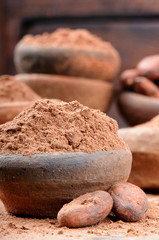 Cocoa powder and beans