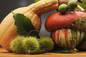 Zucche castagne e noci