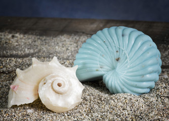 spiral seashells on sand over wooden background