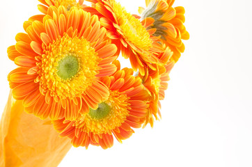 オレンジ色のガーベラの花束