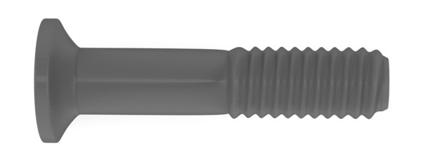 3d render of small screw