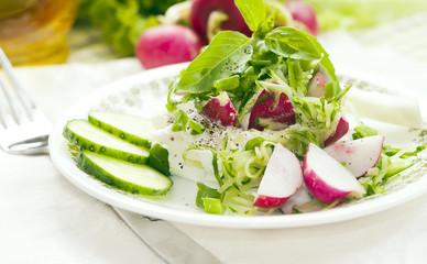 Radish with cottage cheese