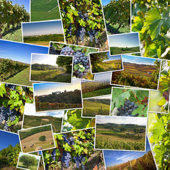 Collage of photos of Astigiano, Piedmont, Italy.