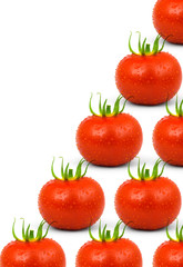 Tomato