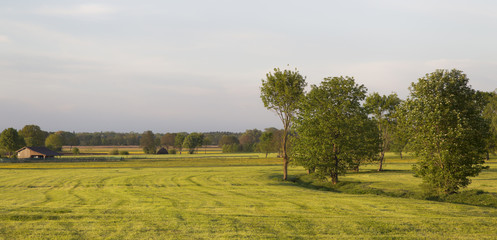 frühling in oberbayern