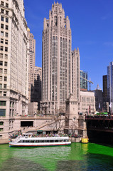 Obraz premium Wrigley Tower Chicago on Saint Patricks Day