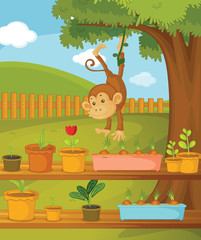 Obraz na płótnie Canvas monkey in garden