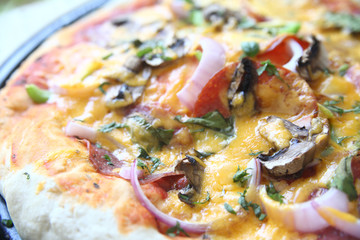 homemade pizza with cheese, mushrooms, onion