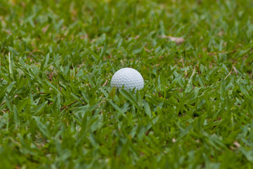 Golf ball on green grass