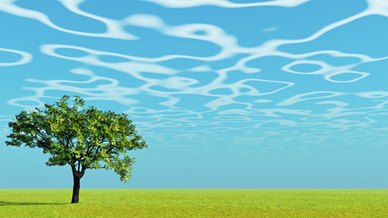 Fototapeta premium Tree