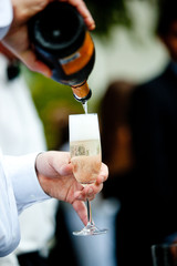 champagne pour