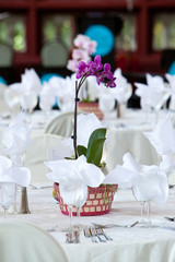 Orchid centerpiece on wedding tables