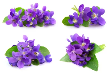 Deurstickers Hout viooltjes bloemen © margo555