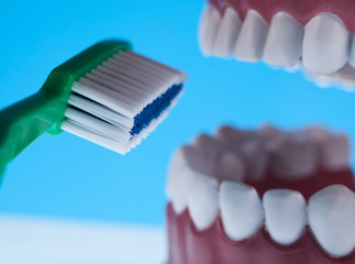 Teeth, Dental health care objects