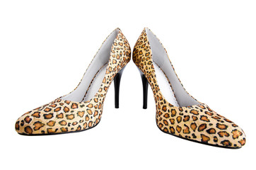 leopard  print shoes on lady isolated on white