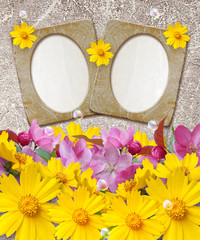 Grunge frame with daisy and paper