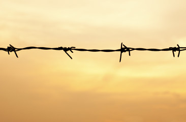 Barbed wire on sunset sky background