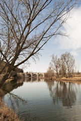 Fototapeta na wymiar Stone bridge over river with leafless trees