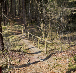 steg durch den wald