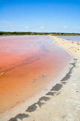 Halite lake in Coorong National park, Southern Australia