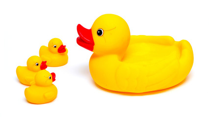 rubber ducks isolated on white