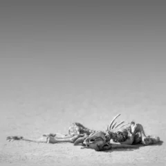 Papier Peint photo Lavable Noir et blanc Squelette d& 39 éland dans le désert
