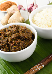 Beef Rendang & Sticky Rice -Malaysian dry beef stew with coconut
