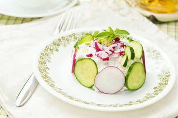 Fresh spring salad with radish