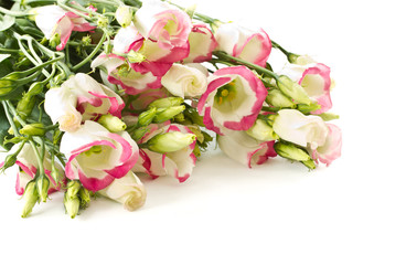 bouquet of pink flowers lisianthus