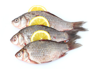Fresh fishes with lemon isolated on white