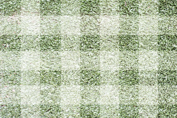 Grass for background ,texture and patten